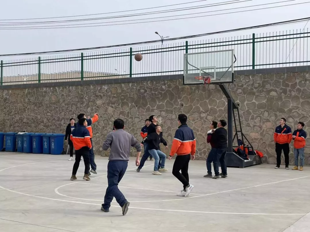 必一运动·(B one sports)官方网站